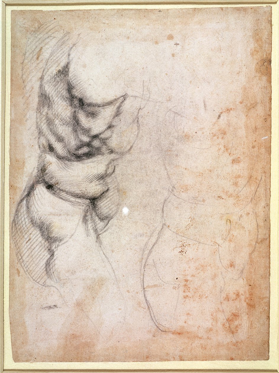 Badanie tułowia i pośladków (węgiel na papierze) (odbytnica) autorstwa Michelangelo Buonarroti