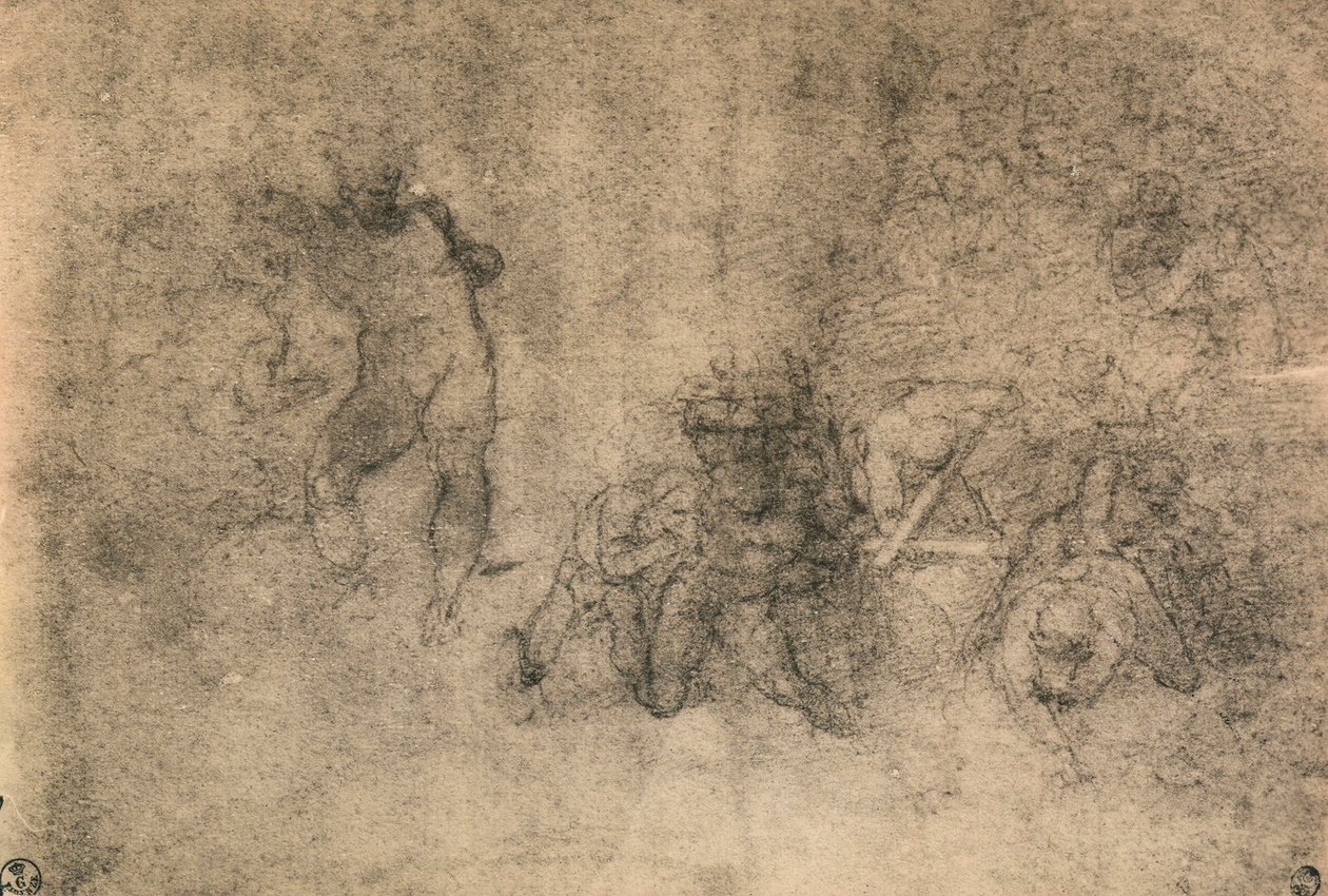 Różne studia aktu męskiego, Michał Anioł. Gabinet Rysunków i Druków, Galeria Uffizi, Florencja autorstwa Michelangelo Buonarroti