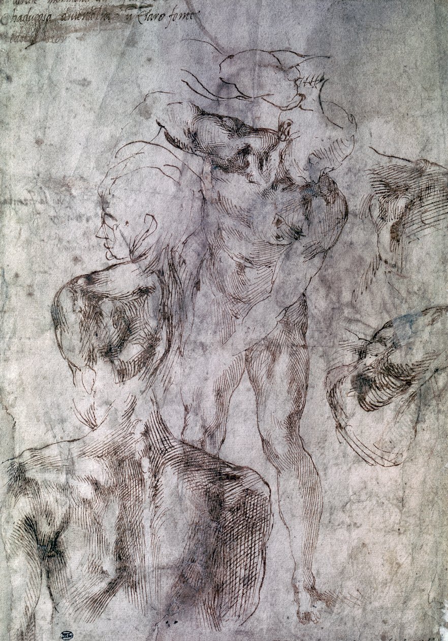 Różne studia, werso Studium dla Dawida autorstwa Michelangelo Buonarroti
