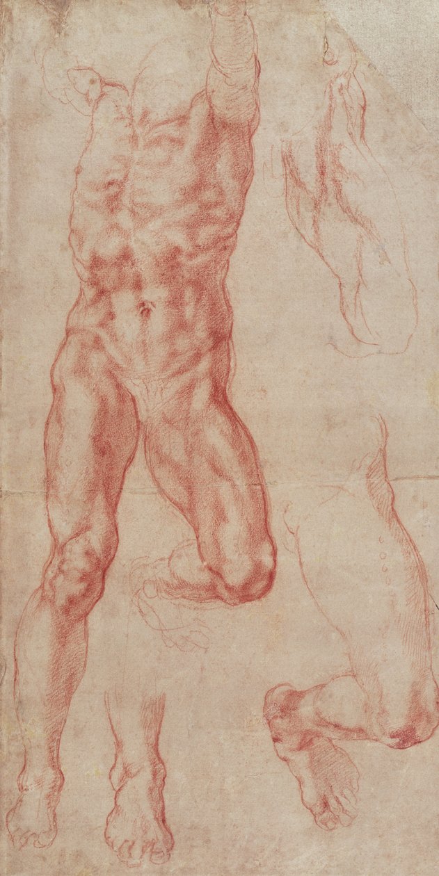 Studium męskiego aktu rozciągającego się ku górze autorstwa Michelangelo Buonarroti