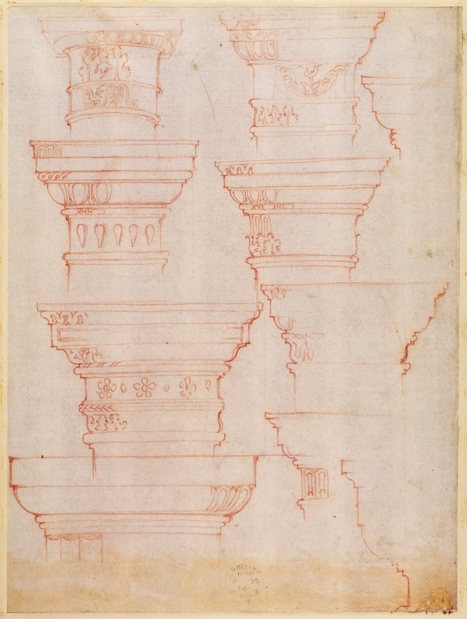 W.18v Studium kapiteli kolumn (kolorowany ołówek) autorstwa Michelangelo Buonarroti