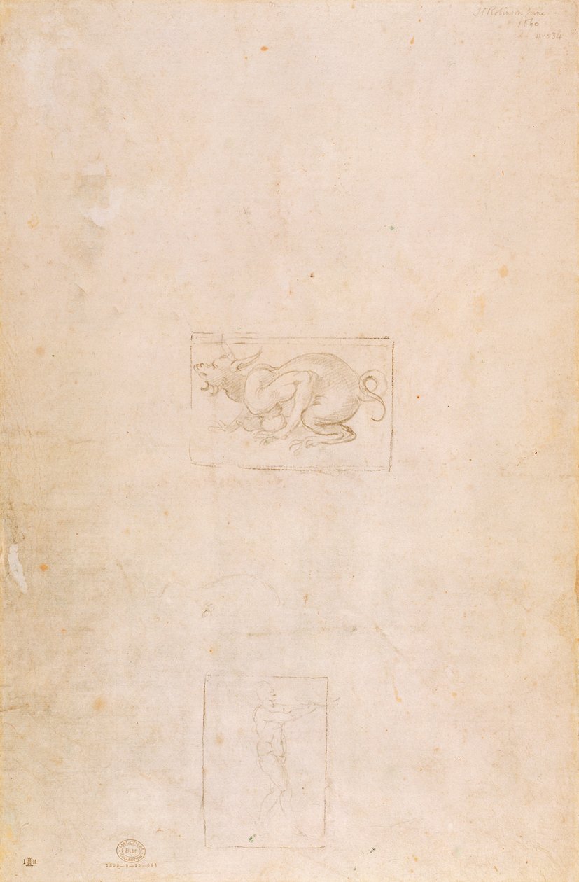 W.54 Studium smoka autorstwa Michelangelo Buonarroti