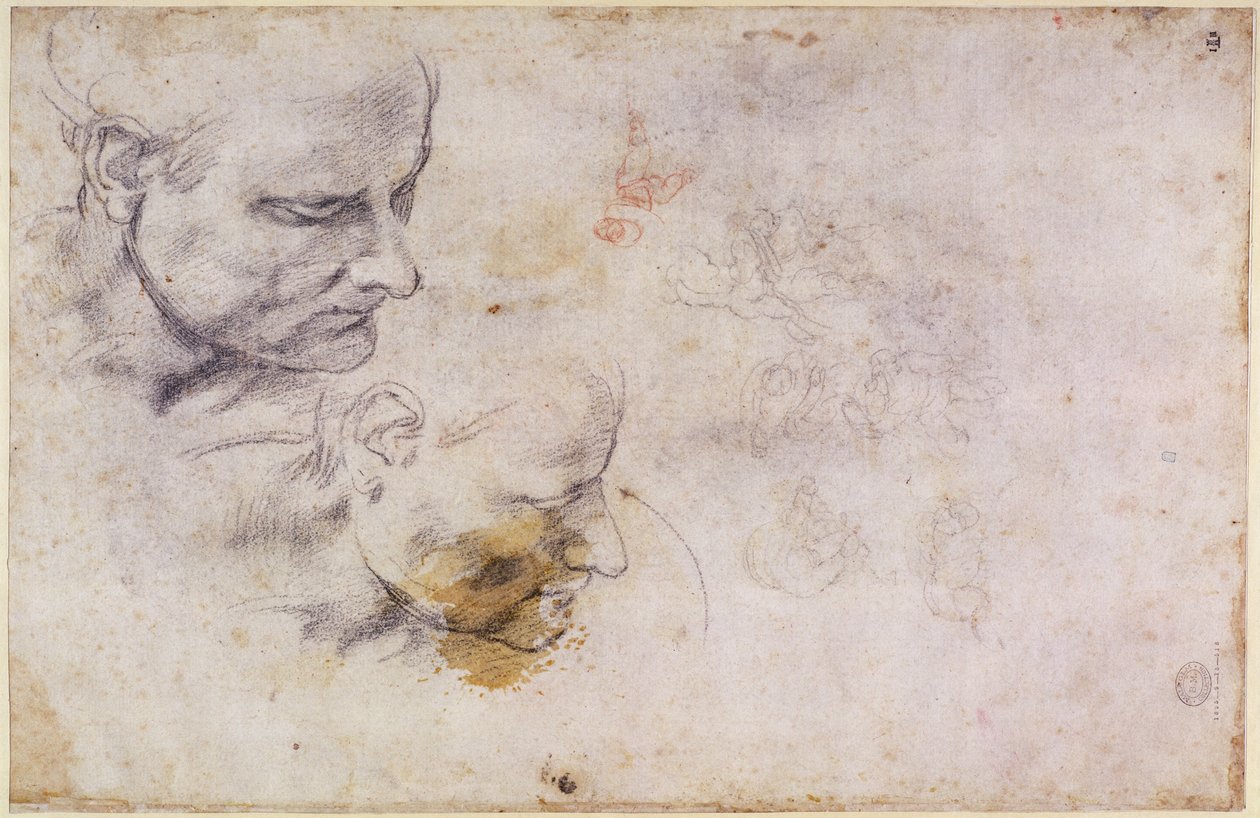 W.60 Szkic męskiej głowy w dwóch pozycjach autorstwa Michelangelo Buonarroti