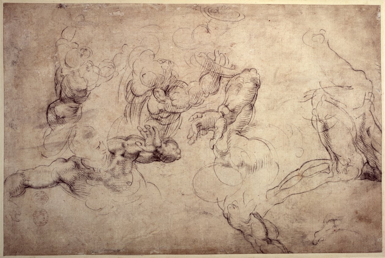 W.61v Studia nad postaciami męskimi autorstwa Michelangelo Buonarroti