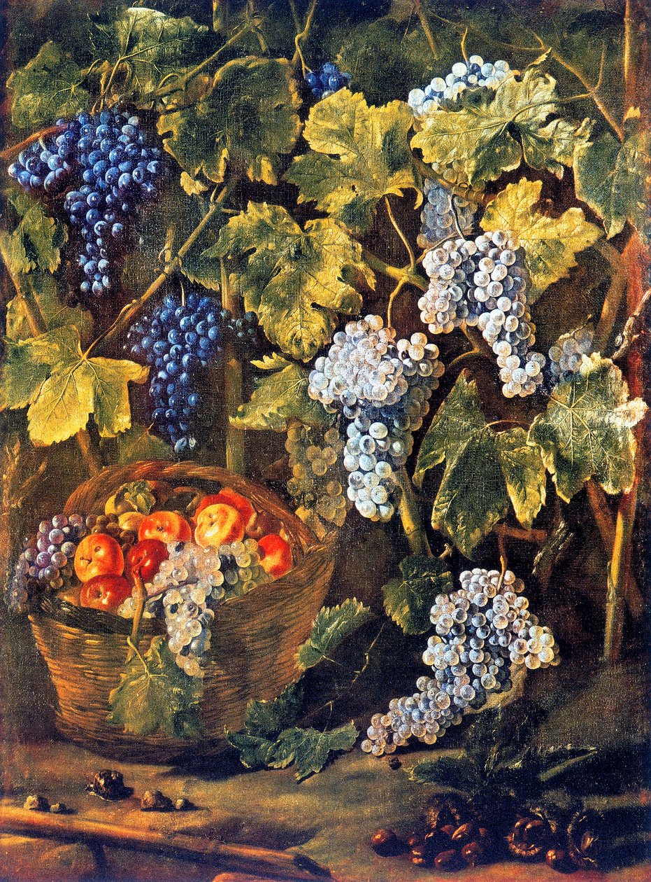 Martwa natura z koszem owoców, kasztanów i tła lub winorośli i kiści winogron autorstwa Michelangelo Cerquozzi