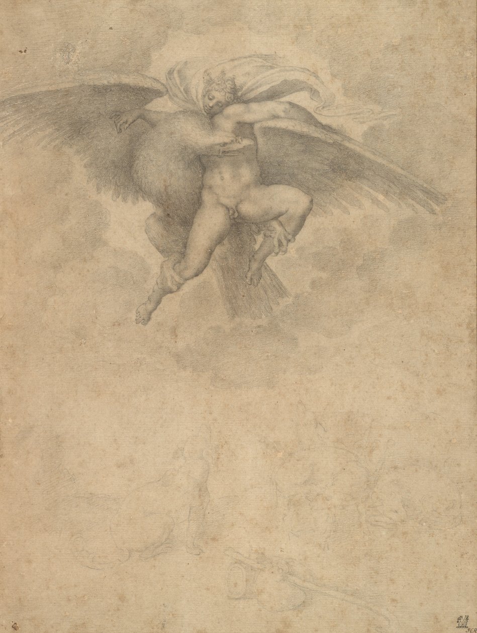 Ganimedes (czarna kreda na papierze) autorstwa Michelangelo after Buonarroti