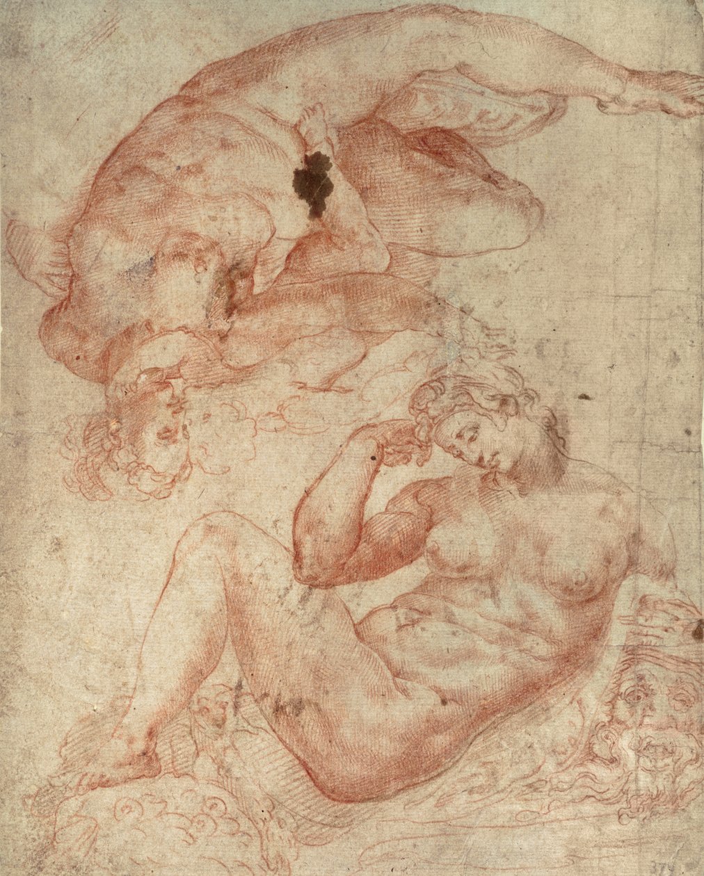 Studia aktu (czerwona kreda na papierze) autorstwa Michelangelo Buonarroti