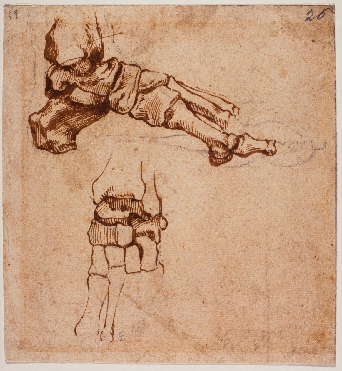 Anatomiczne badanie stóp autorstwa Michelangelo (after) Buonarroti
