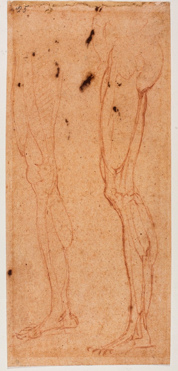 Badanie nóg autorstwa Michelangelo (after) Buonarroti