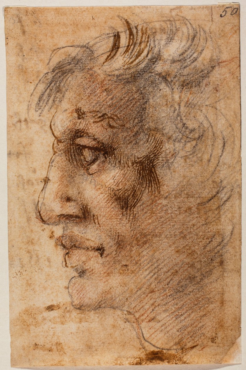 Głowa mężczyzny z profilu autorstwa Michelangelo (after) Buonarroti