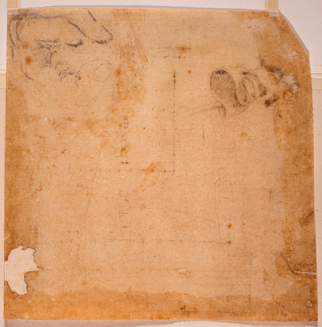 Badania perspektywiczne i baner autorstwa Michelangelo (after) Buonarroti