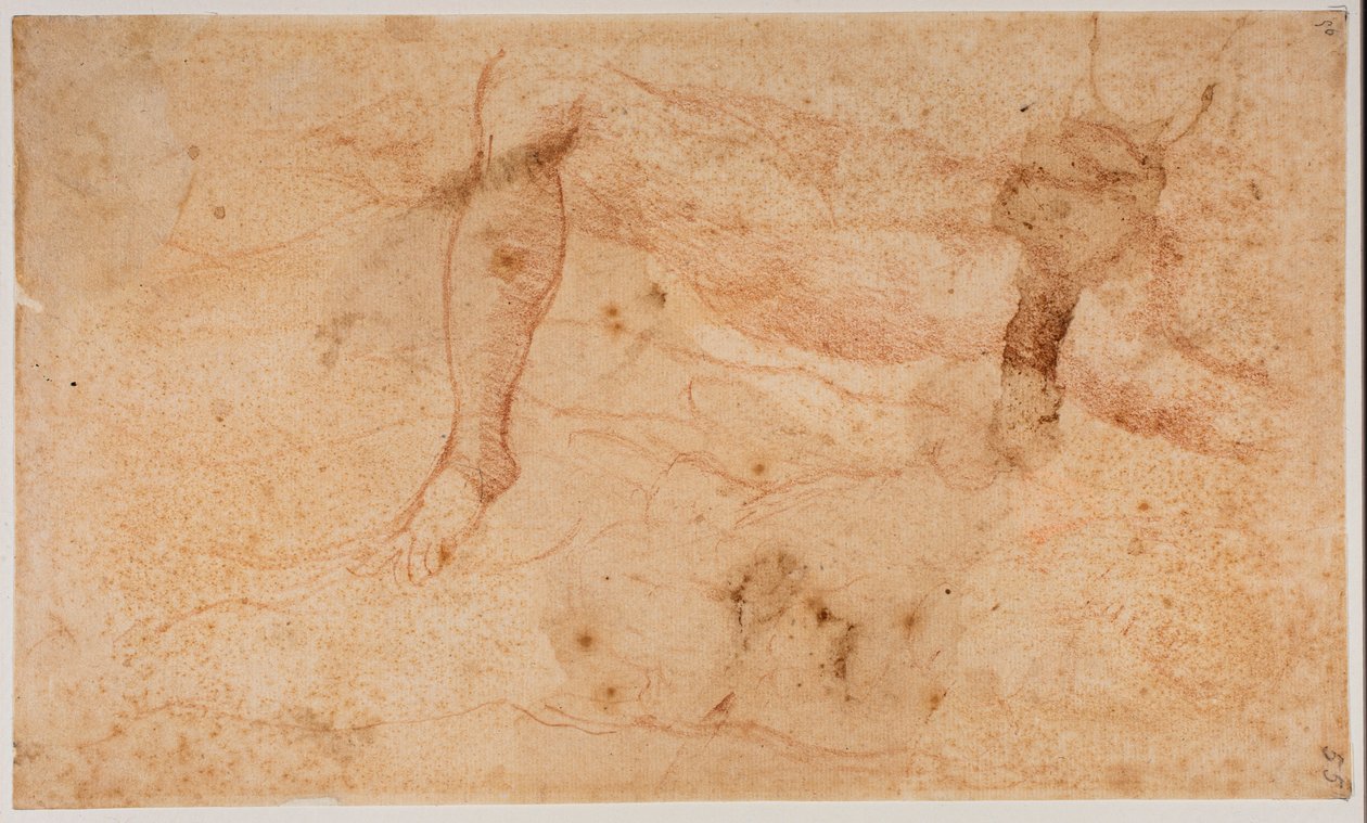 Studia aktów autorstwa Michelangelo (after) Buonarroti