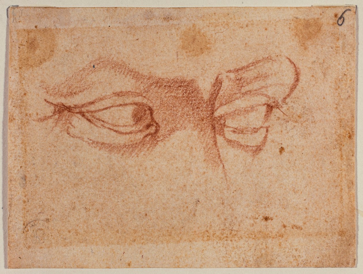 Badanie oczu autorstwa Michelangelo (after) Buonarroti