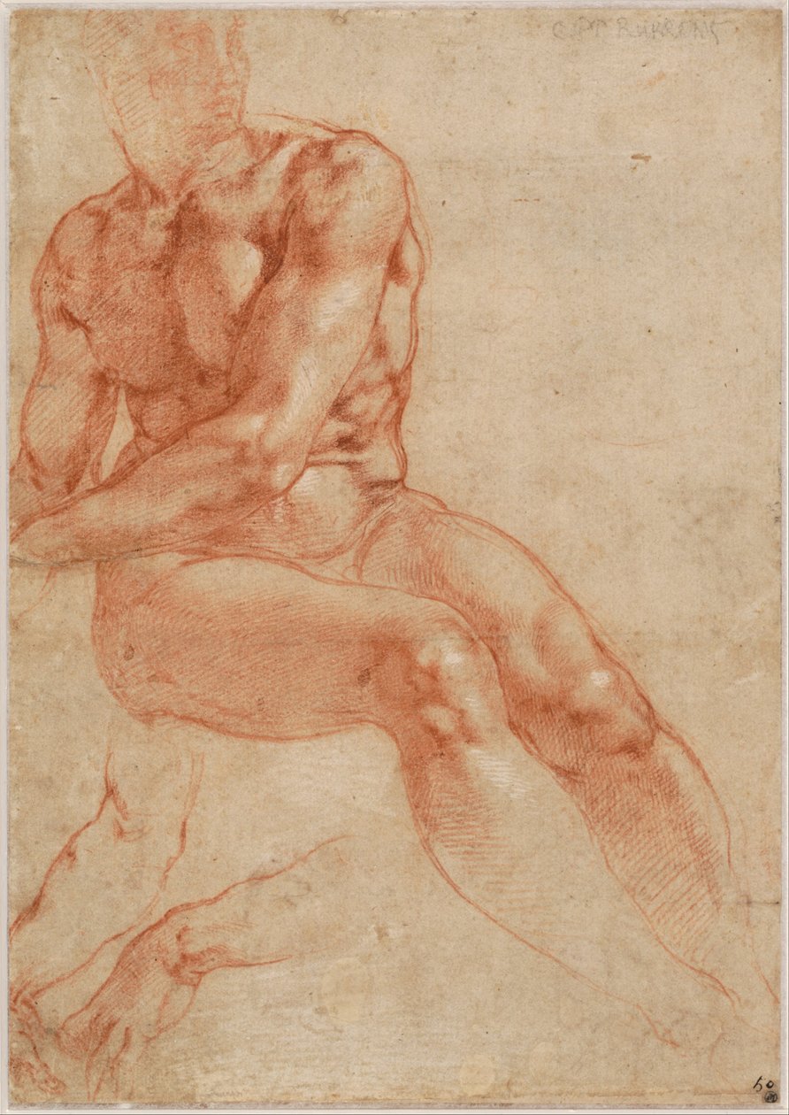 Młody mężczyzna w pozycji siedzącej i dwa studia ramion (recto), ok. 1510-11 autorstwa Michelangelo