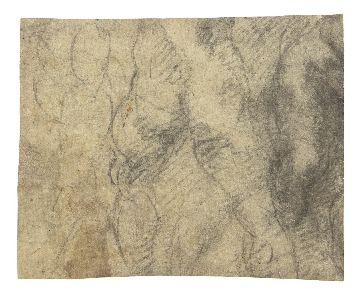 Akt męski widziany od tyłu autorstwa Michelangelo Buonarroti