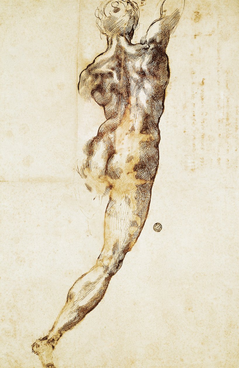 Akt męski widziany z tyłu, studium do bitwy pod Cascina, Michał Anioł (1475-1564), rysunek. autorstwa Michelangelo Buonarroti