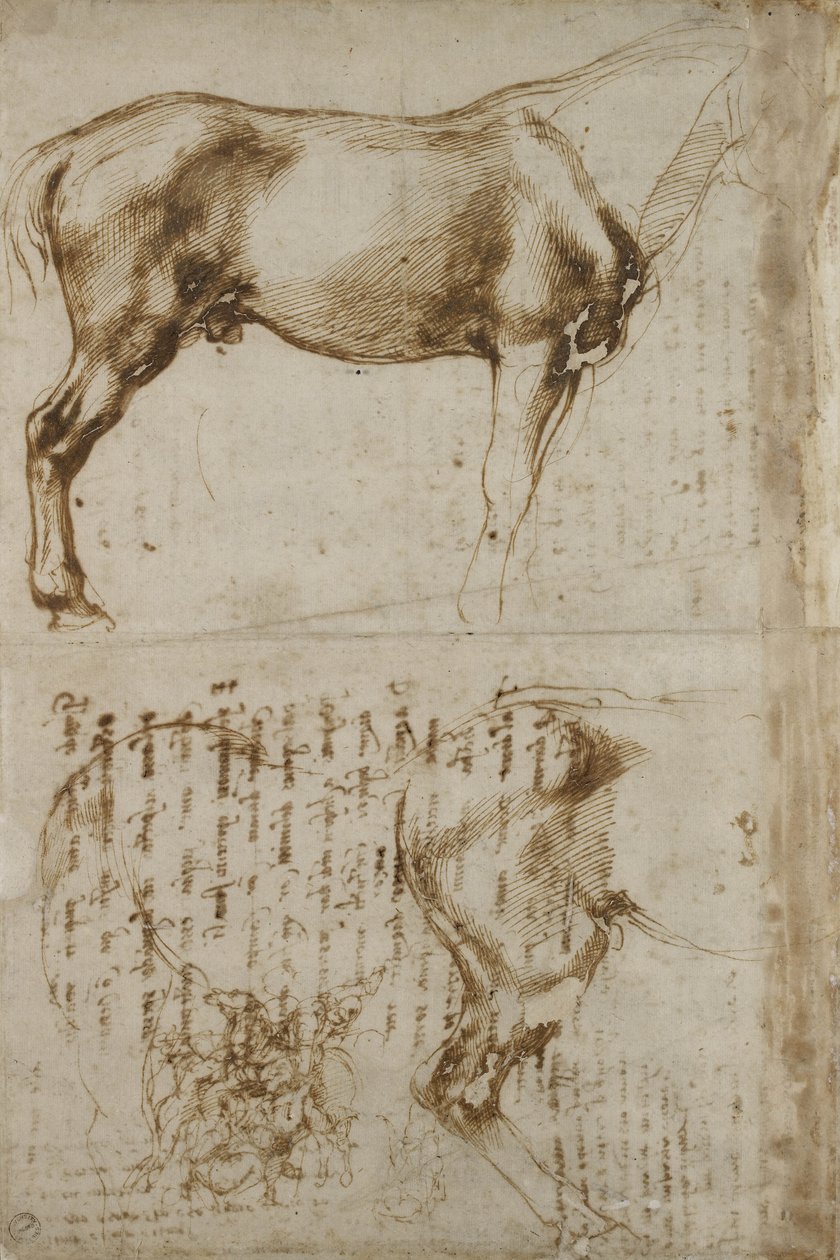 Anatomiczne badanie koni, 1504 autorstwa Michelangelo Buonarroti