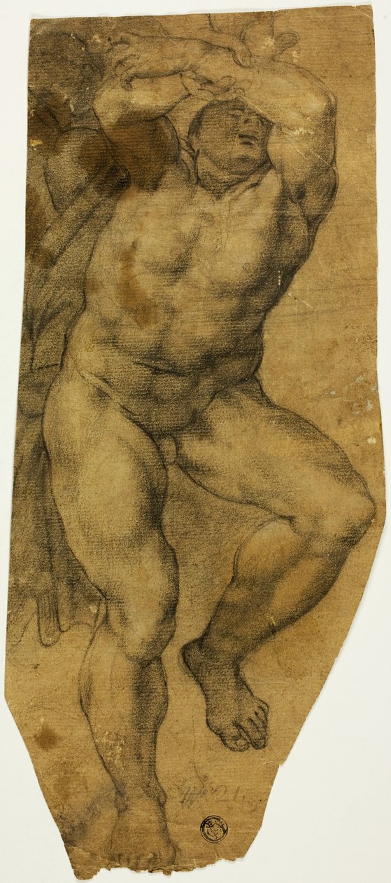 Rosnący akt męski autorstwa Michelangelo Buonarroti