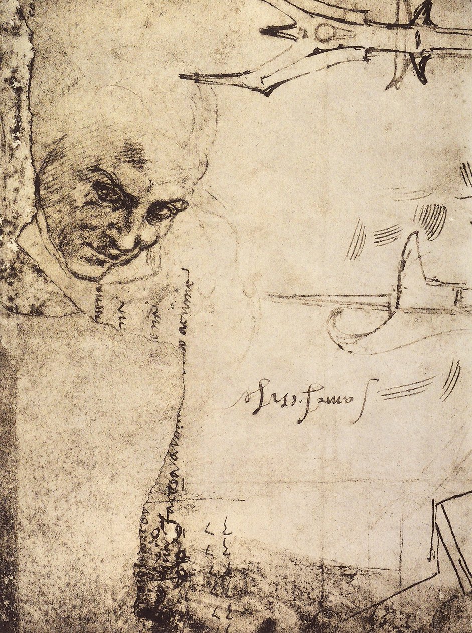 Twarz, rysunek Michała Anioła, Gabinet Rysunków i Grafiki, Galeria Uffizi, Florencja autorstwa Michelangelo Buonarroti