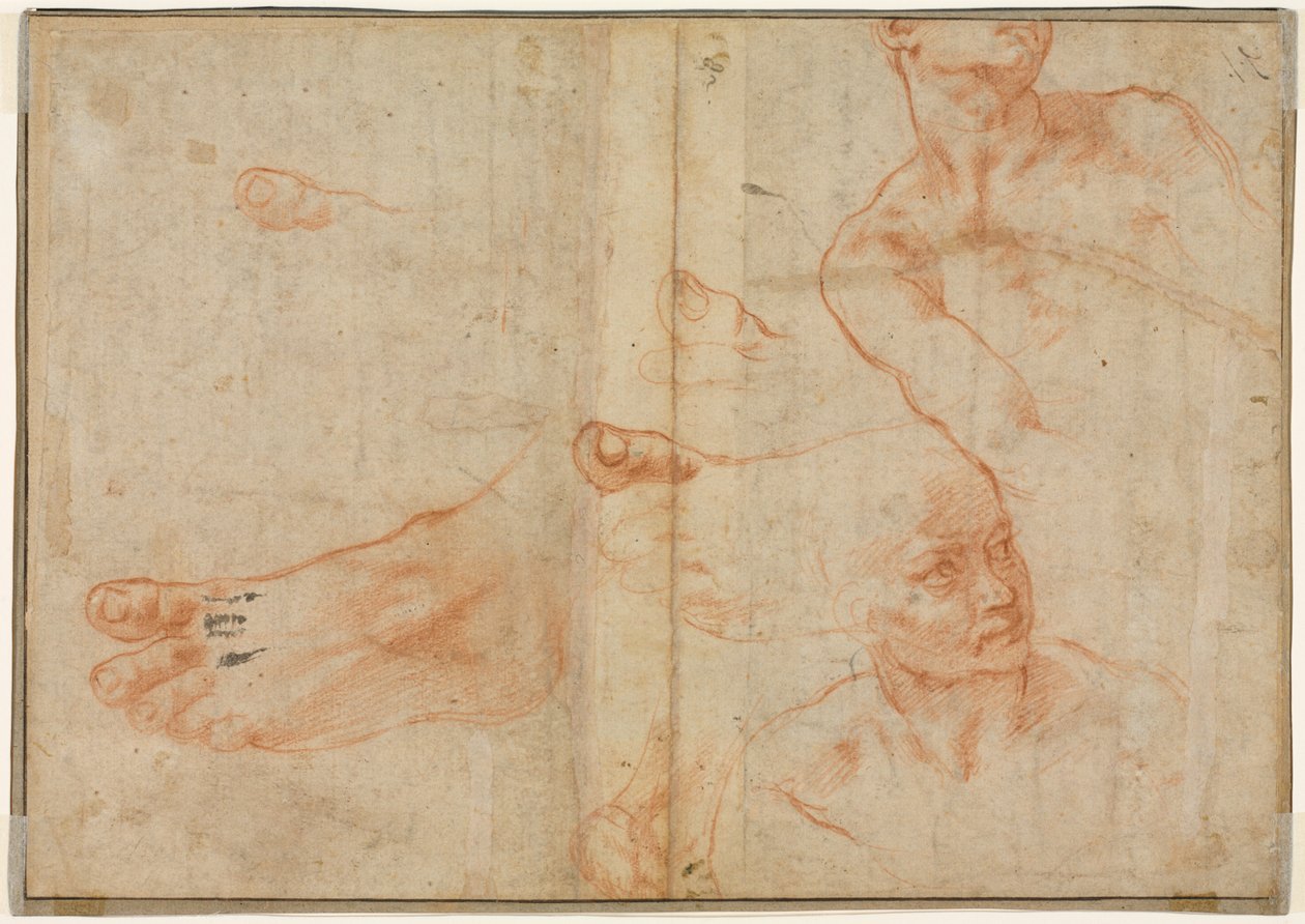 Badania figur dla sufitu Sykstyńskiego (verso) autorstwa Michelangelo Buonarroti
