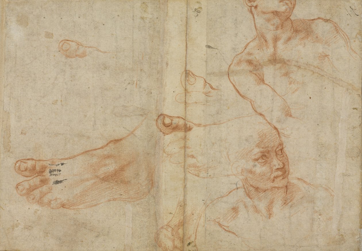 Studia liczbowe dla sufitu Sykstyńskiego autorstwa Michelangelo Buonarroti