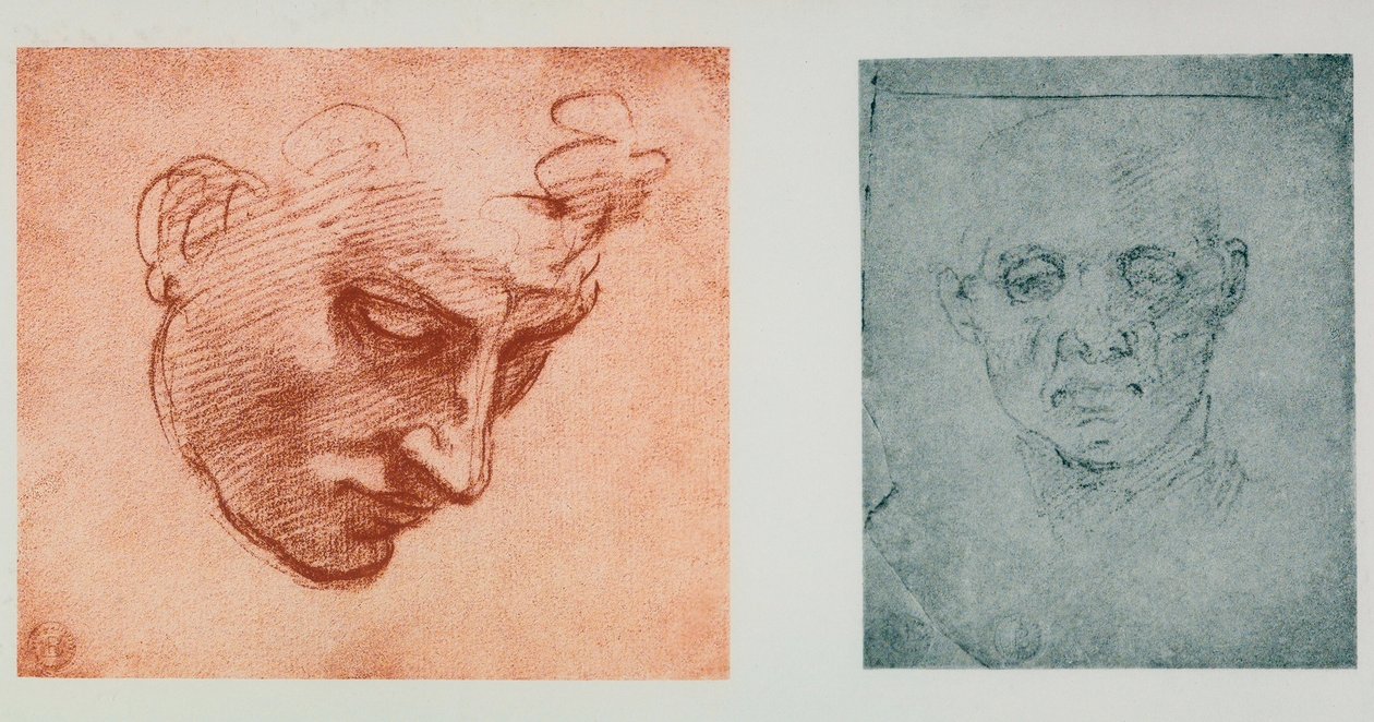 Widok z przodu twarzy i jeden z profilu; rysunki Michała Anioła. Casa Buonarroti, Florencja autorstwa Michelangelo Buonarroti