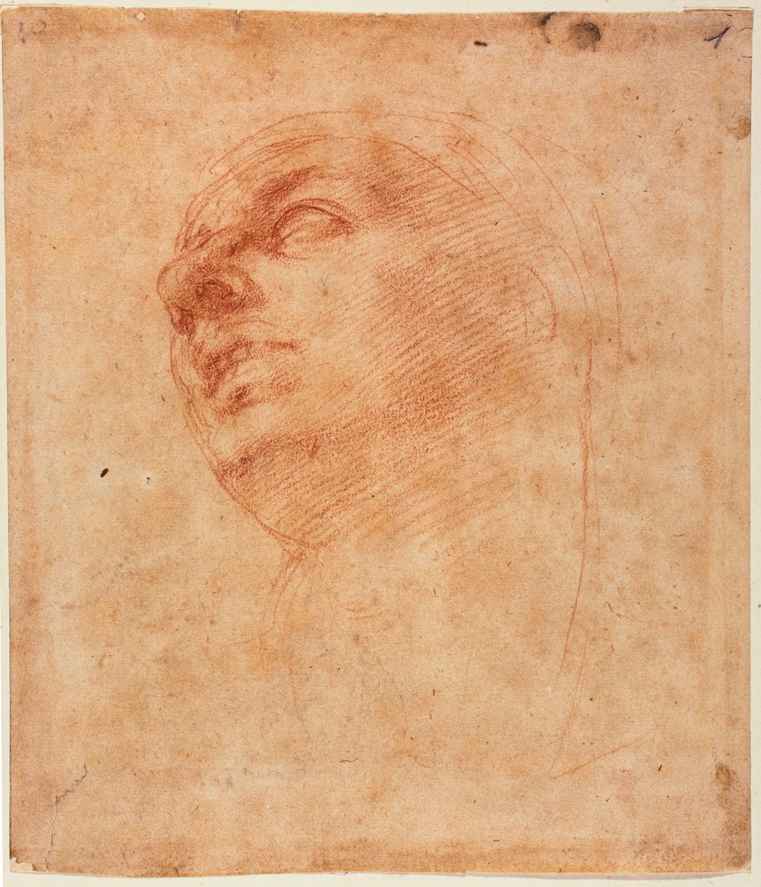 Studium głowy dla Jonasza z Sykstyny autorstwa Michelangelo Buonarroti