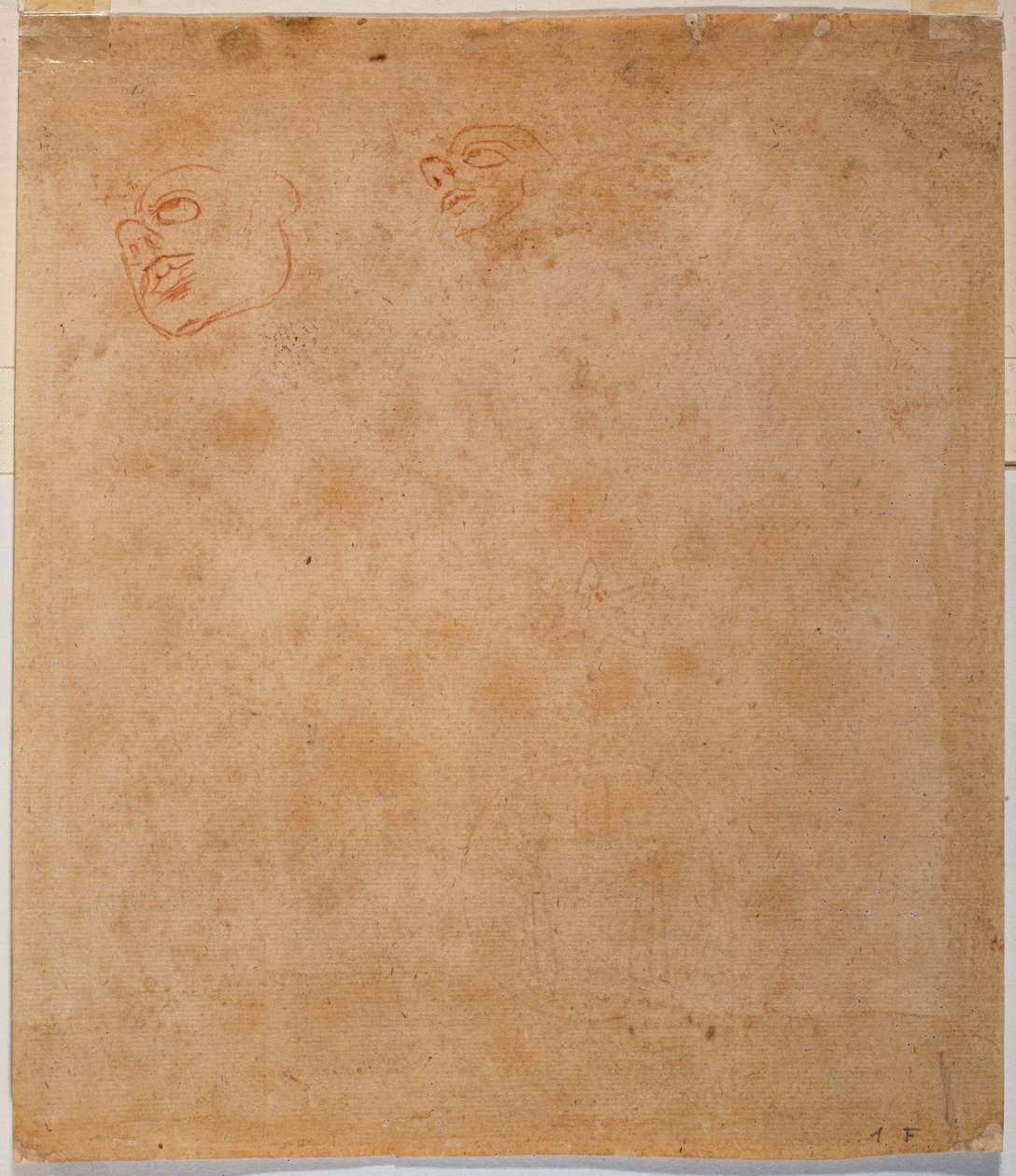 Studium głowy dla Jonasza z Sykstyny autorstwa Michelangelo Buonarroti