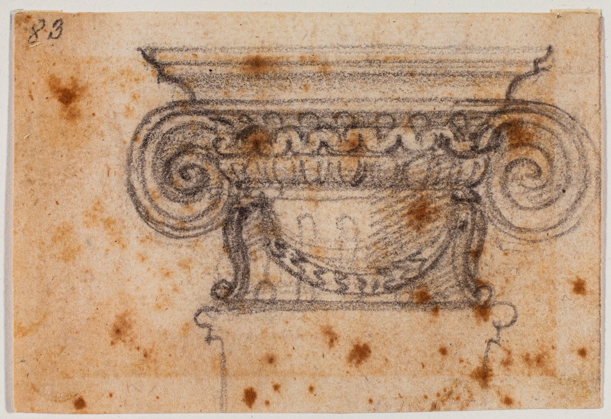 Badanie kapitału jonowego autorstwa Michelangelo Buonarroti