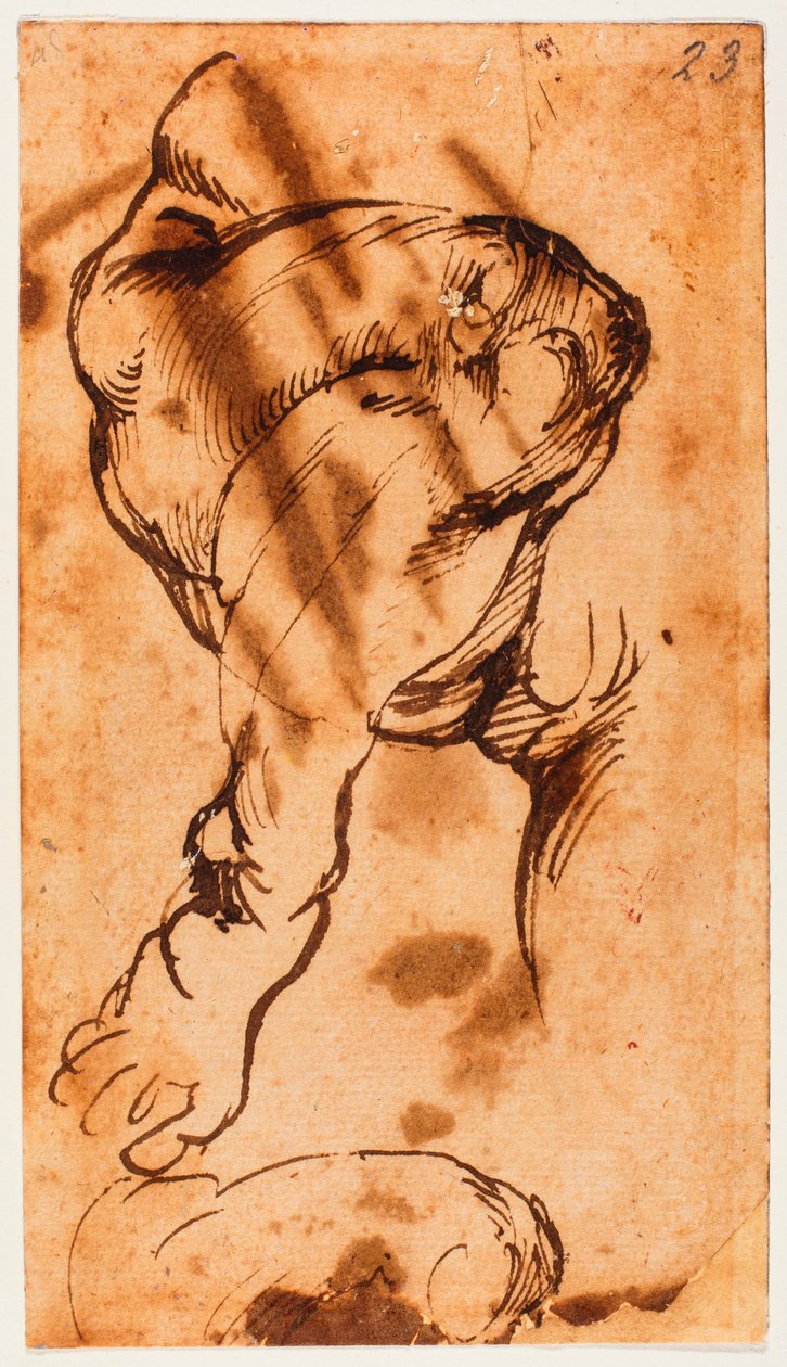 Badanie nóg dziecka w Doni Tondo autorstwa Michelangelo Buonarroti