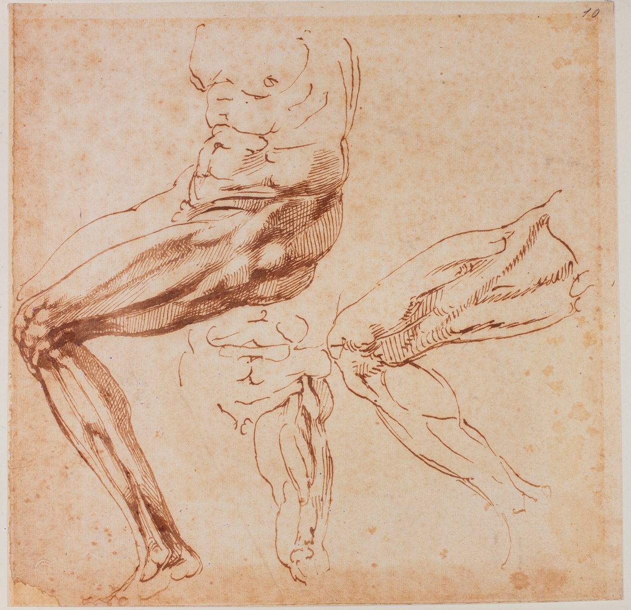 Badania nóg autorstwa Michelangelo Buonarroti
