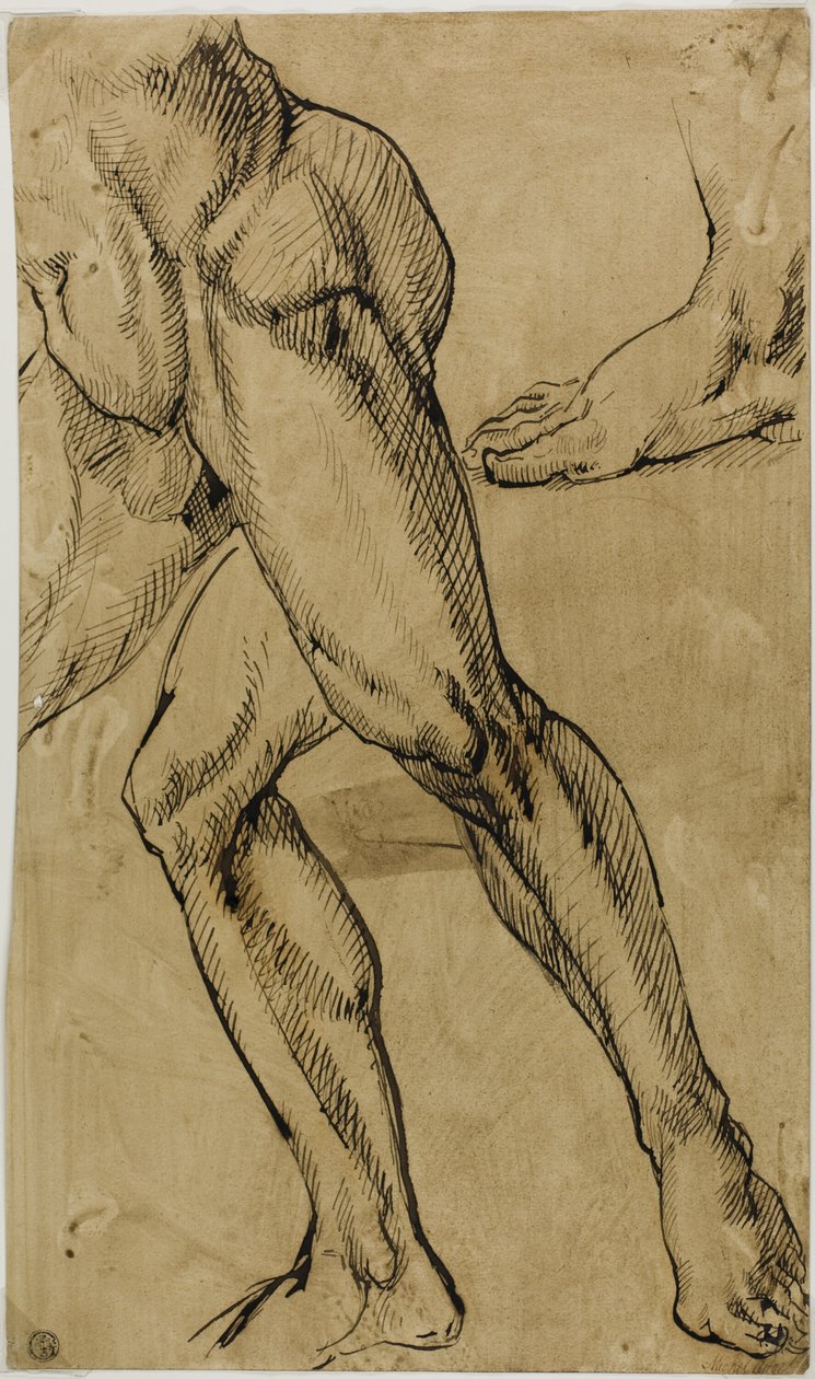 Nogi i stopy nagości męskiej autorstwa Michelangelo Buonarroti