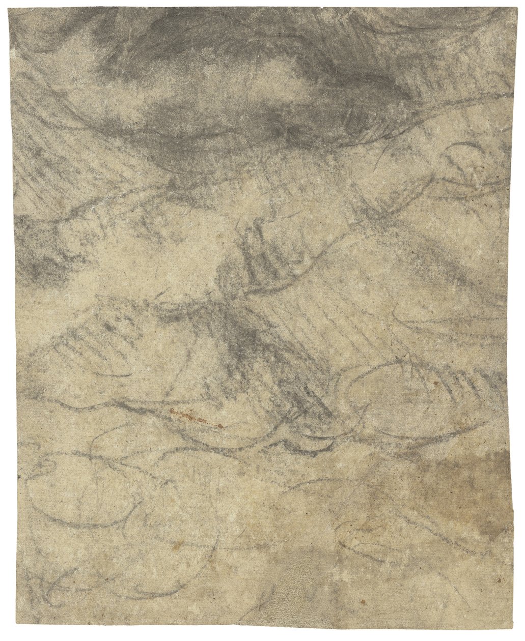Akt męski autorstwa Michelangelo Buonarroti