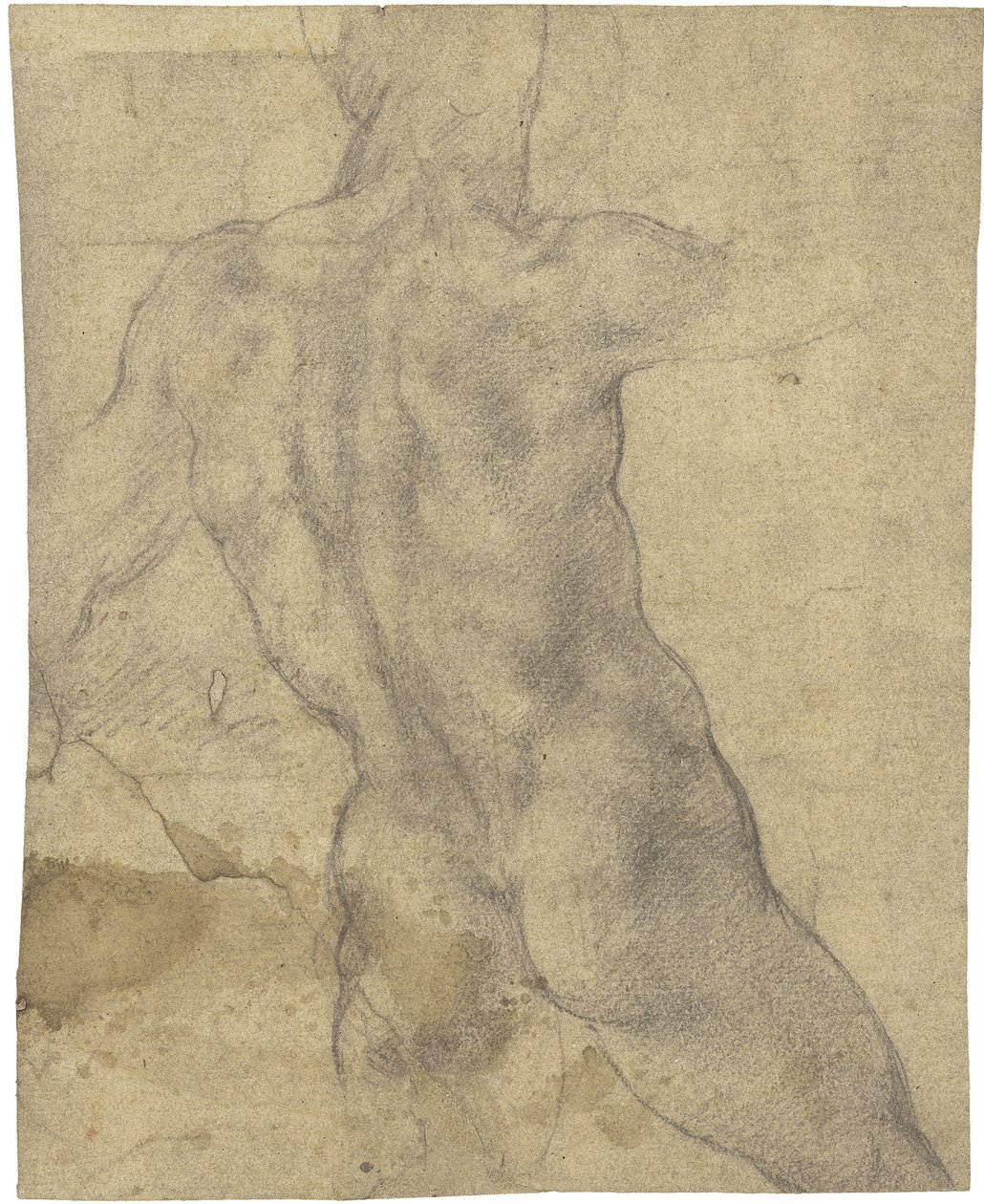 Akt męski autorstwa Michelangelo Buonarroti