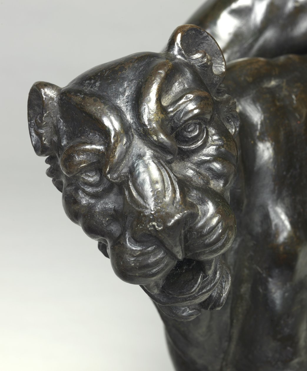 Nagie bachantki jeżdżące na panterach autorstwa Michelangelo Buonarroti