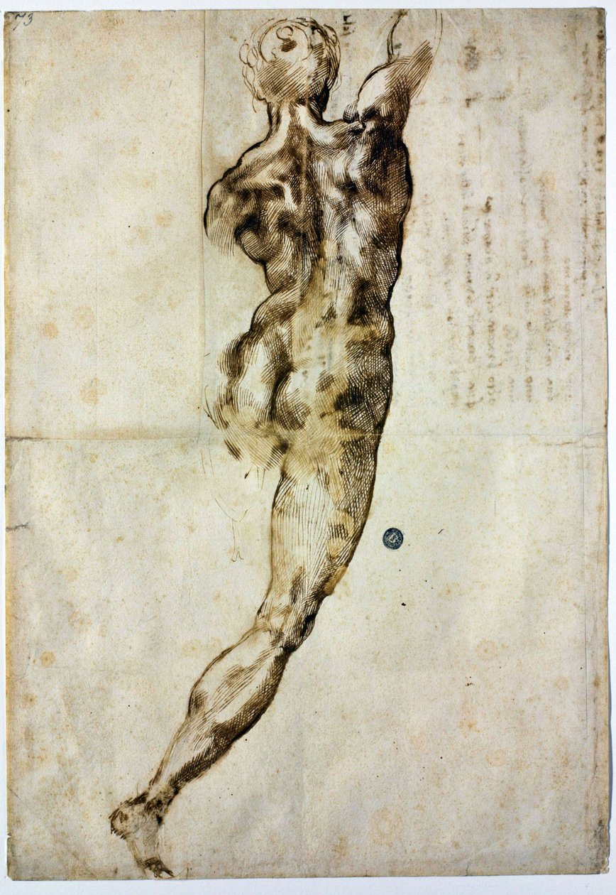 Akt od tyłu, ok. 1504 autorstwa Michelangelo Buonarroti