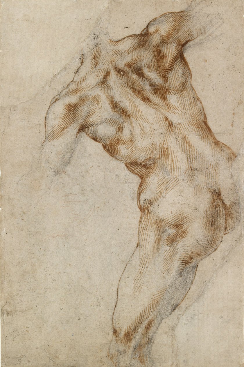 Nagi męski tors, początek XVI w. autorstwa Michelangelo Buonarroti