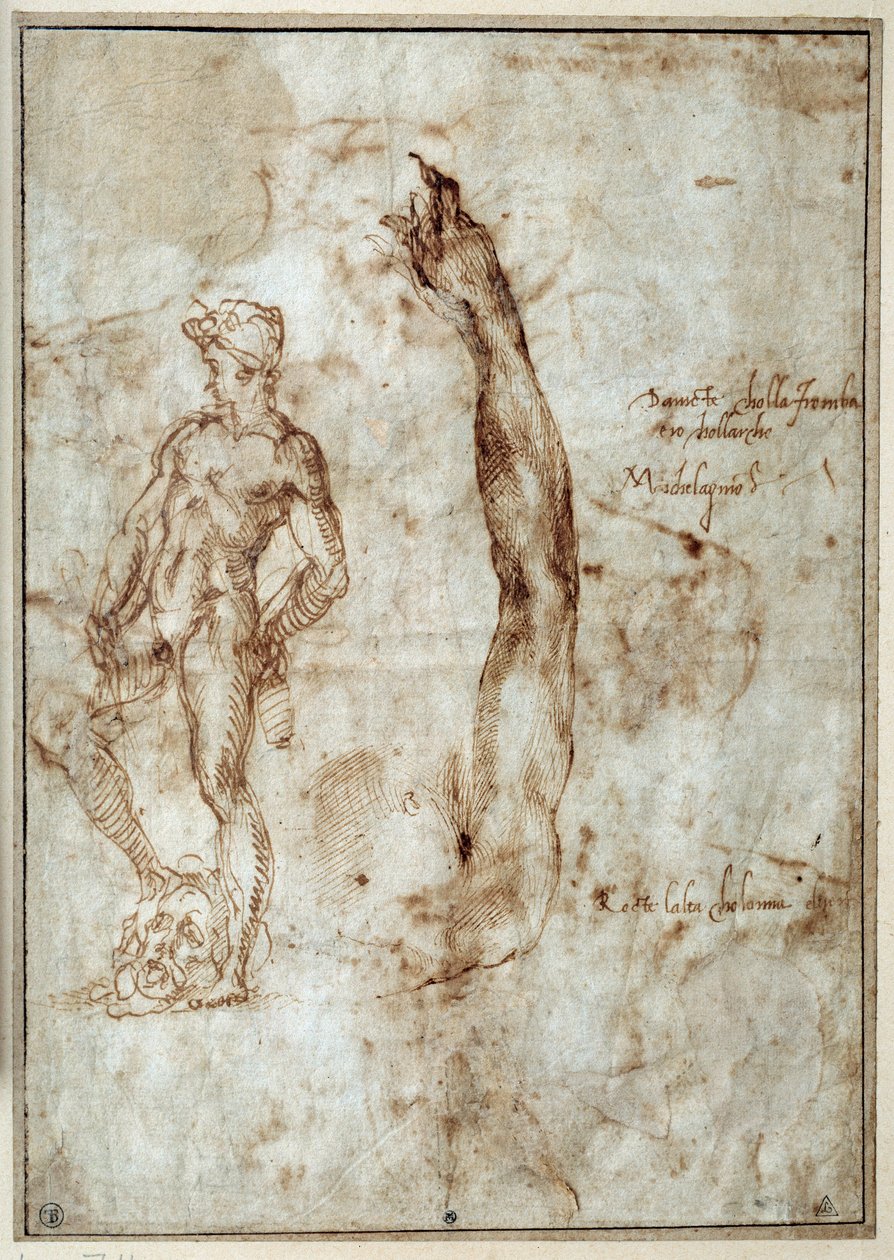 Badanie nago. Michelangelo Buonarroti dit Michelangelo (Michelangelo lub Michel Ange autorstwa Michelangelo Buonarroti