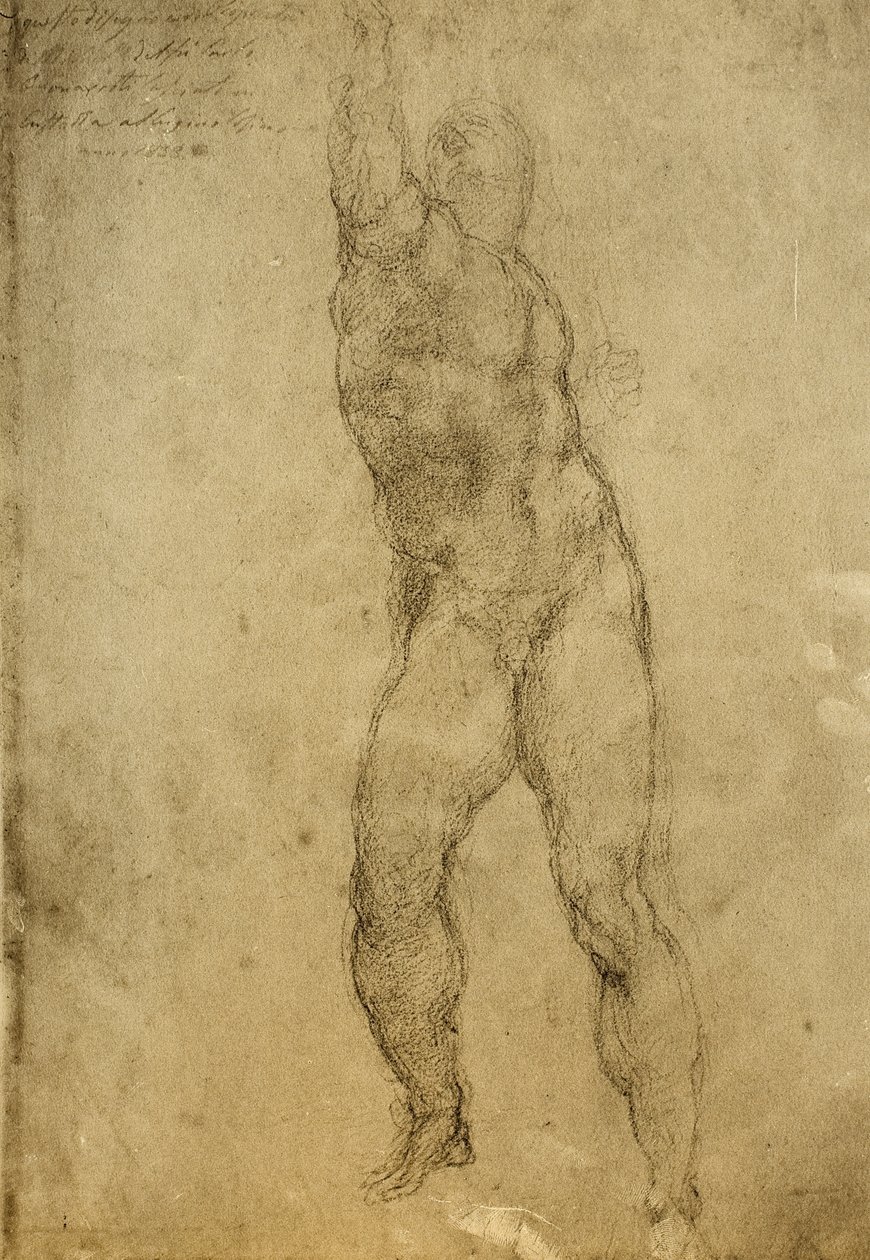 Studium aktu, rysunek Michała Anioła. Gallerie dellAccademia, Wenecja autorstwa Michelangelo Buonarroti
