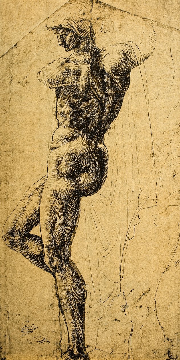 Badanie nago; rysunek Michała Anioła. Musée du Louvre, Paryż autorstwa Michelangelo Buonarroti