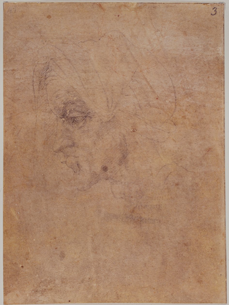 Profil starej kobiety autorstwa Michelangelo Buonarroti