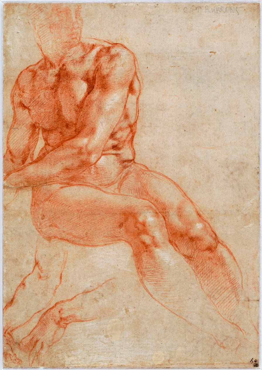 Siedzący młody mężczyzna nago i studia dwuramienne, ok. 1510-1511 autorstwa Michelangelo Buonarroti