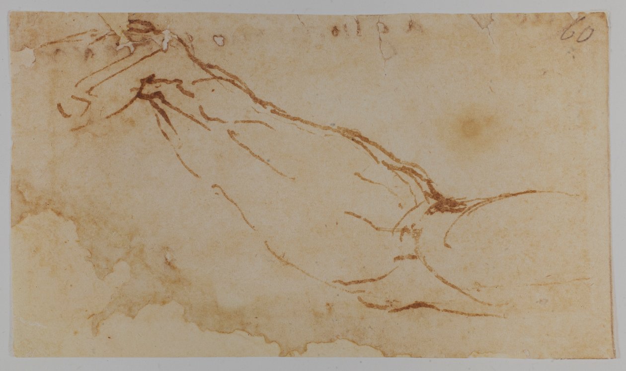 Szkic prawego ramienia "Ledy", 1528-1530 (rysunek) autorstwa Michelangelo Buonarroti
