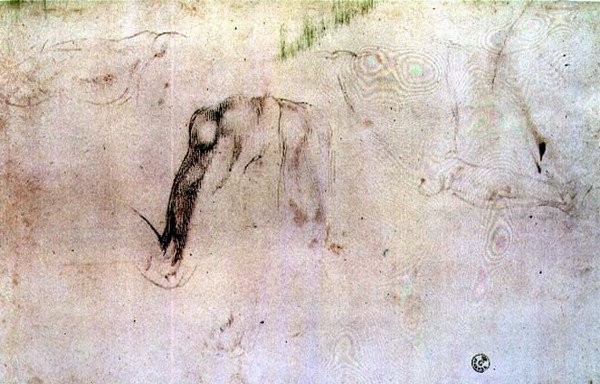 Szkic nóg (węgiel na papierze) autorstwa Michelangelo Buonarroti