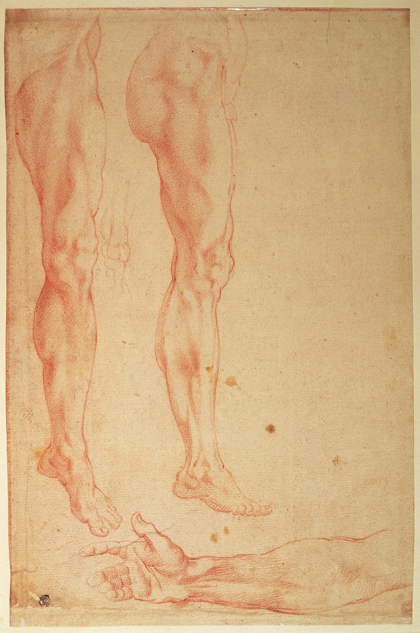 Studia nóg i ramion (czerwona kreda na papierze) autorstwa Michelangelo Buonarroti