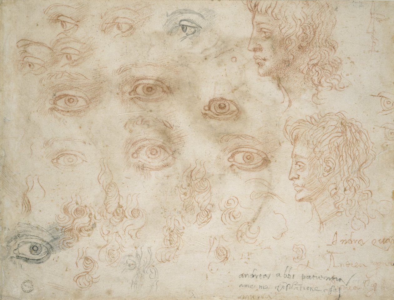 Studia dwóch głów, ok. 1525 (kreda na papierze) autorstwa Michelangelo Buonarroti