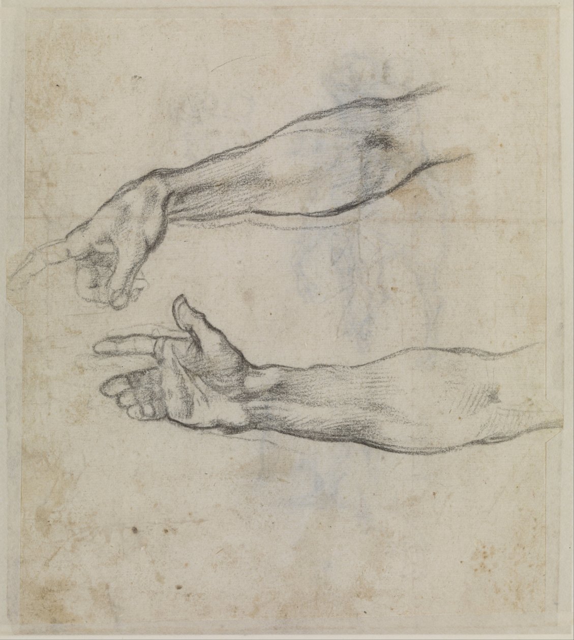 Studium wyciągniętej ręki do fresku "Pijaństwo Noego" w Kaplicy Sykstyńskiej, ok. 1508-09 (czarna kreda na papierze) autorstwa Michelangelo Buonarroti