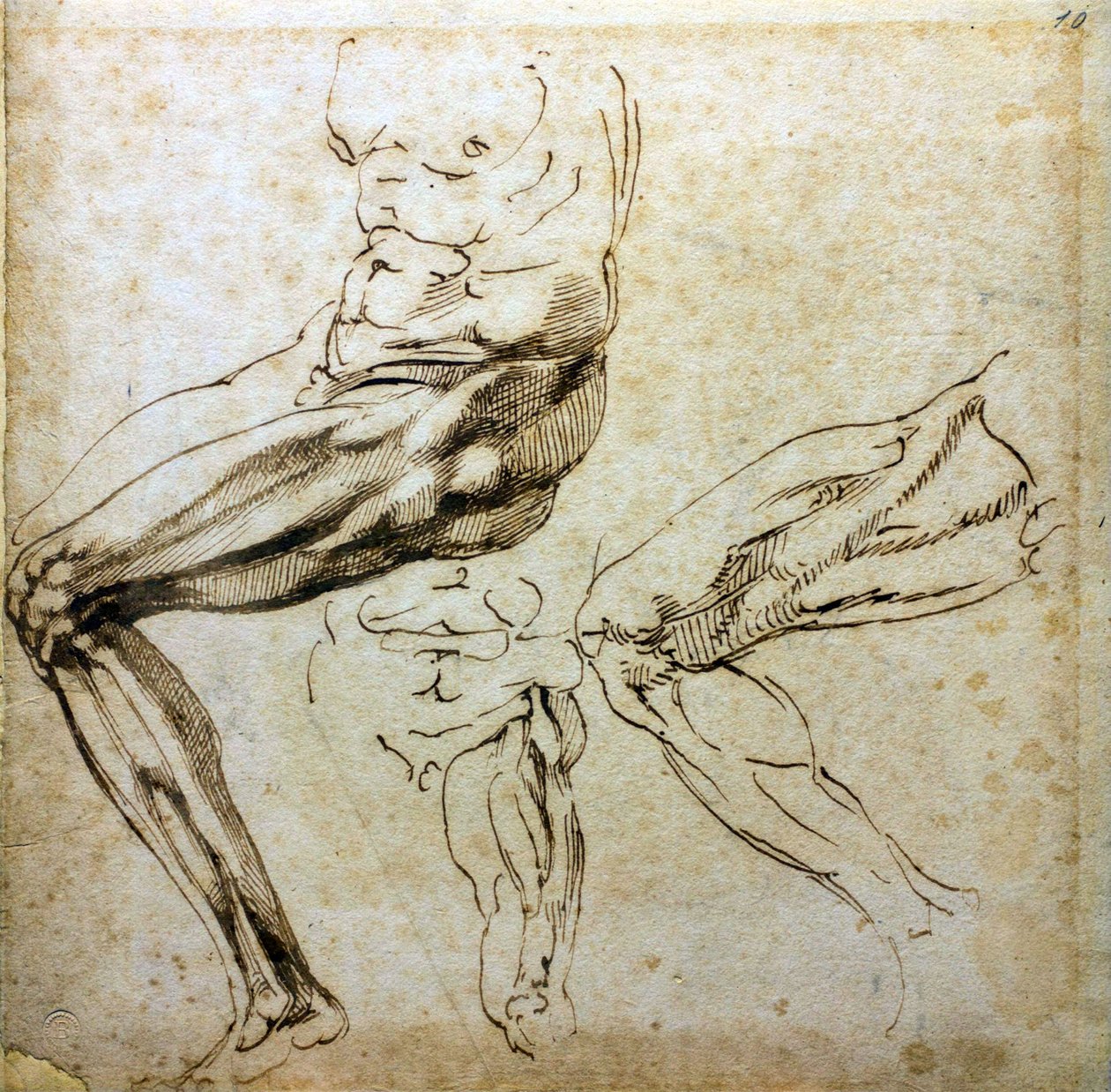 Studia nóg, 1524-1525 autorstwa Michelangelo Buonarroti