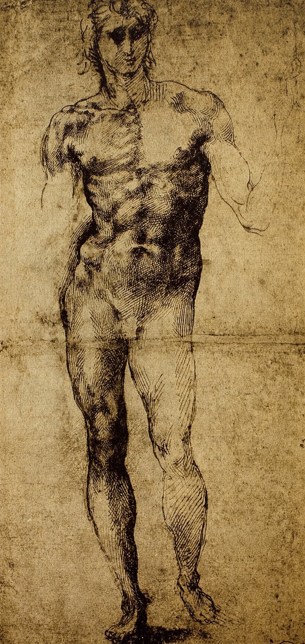 Studium aktu męskiego, Michelangelo Buonarroti (1475-1564), rysunek, Paryż, Luwr autorstwa Michelangelo Buonarroti