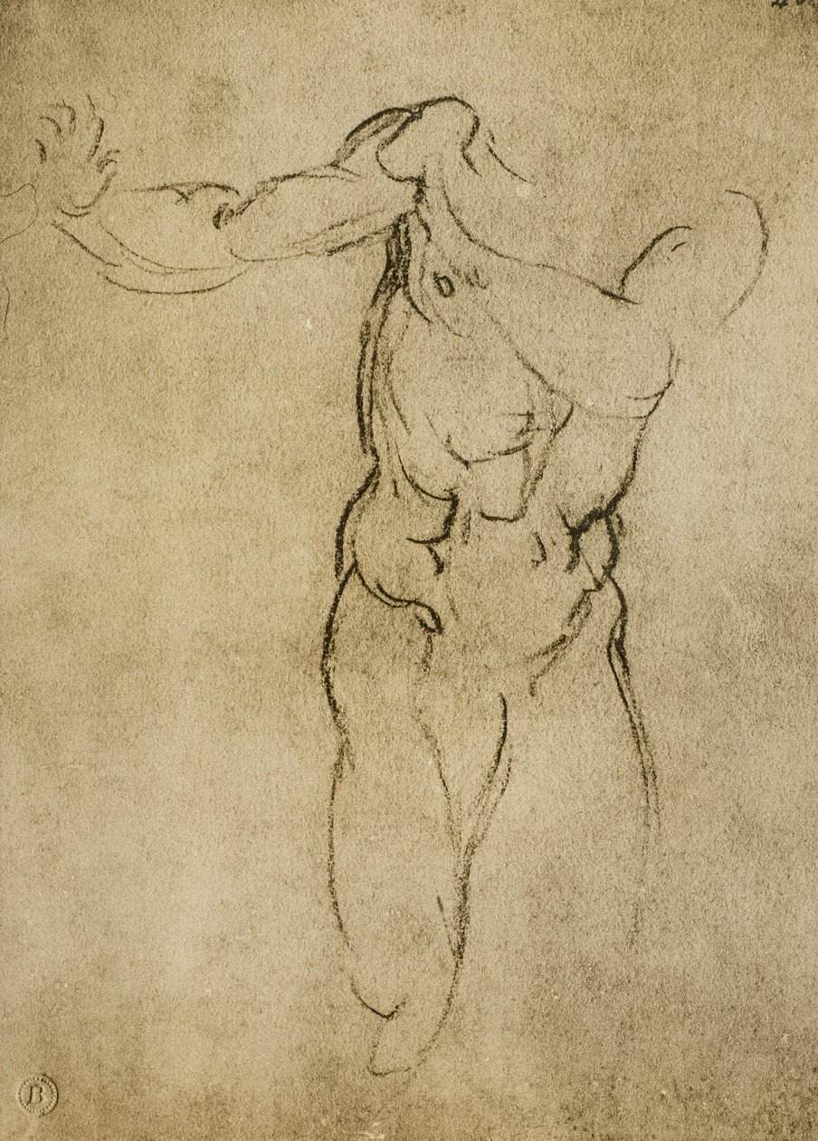 Studium męskiego popiersia, rysunek Michała Anioła. Casa Buonarroti, Florencja autorstwa Michelangelo Buonarroti